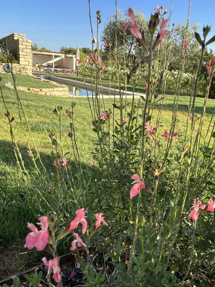 RM paysages realisations (7)